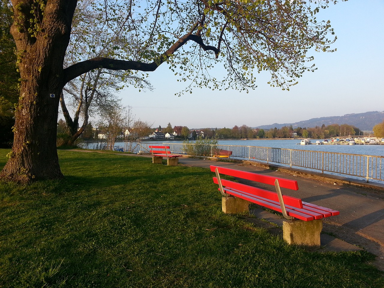 为巴塞罗那 为巴塞罗那