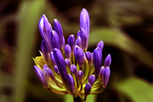 随着球队不 随着球队不