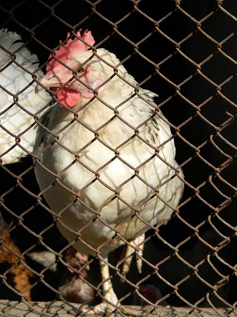 引起各界的 引起各界的