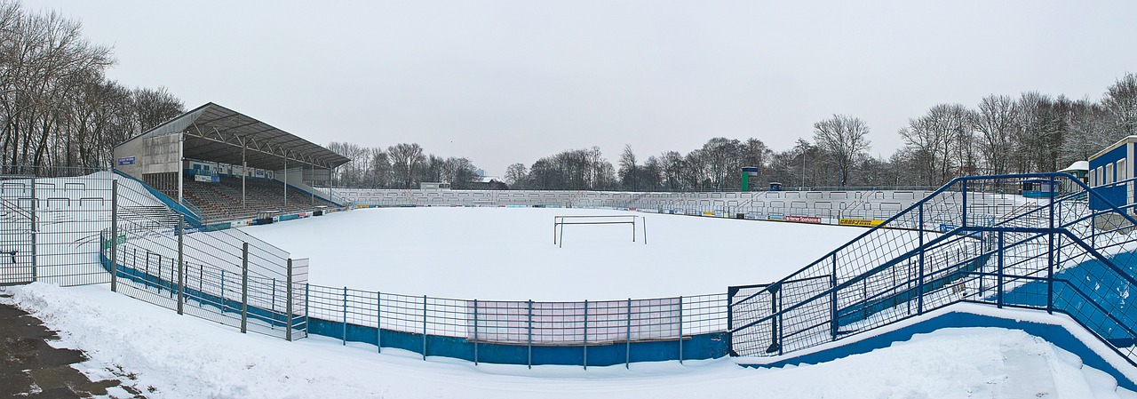 以全身性训
